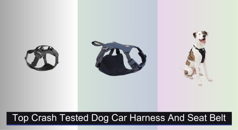 8 Best Crash Tested Dog Car Harnesses 2026